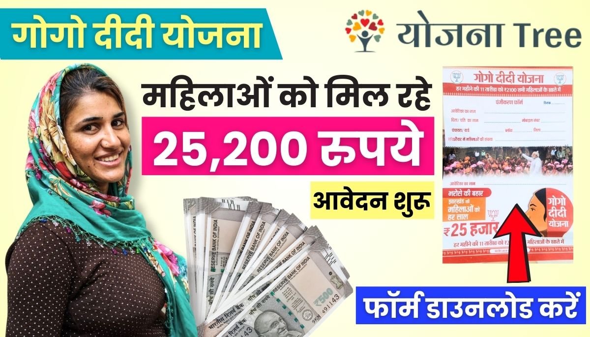 Gogo Didi Yojana Online Apply